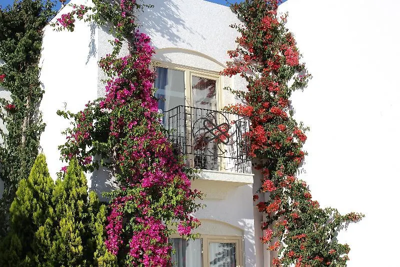 Serpina Hotel (Adults Only) Bodrum